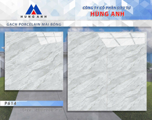 Hùng Anh P614